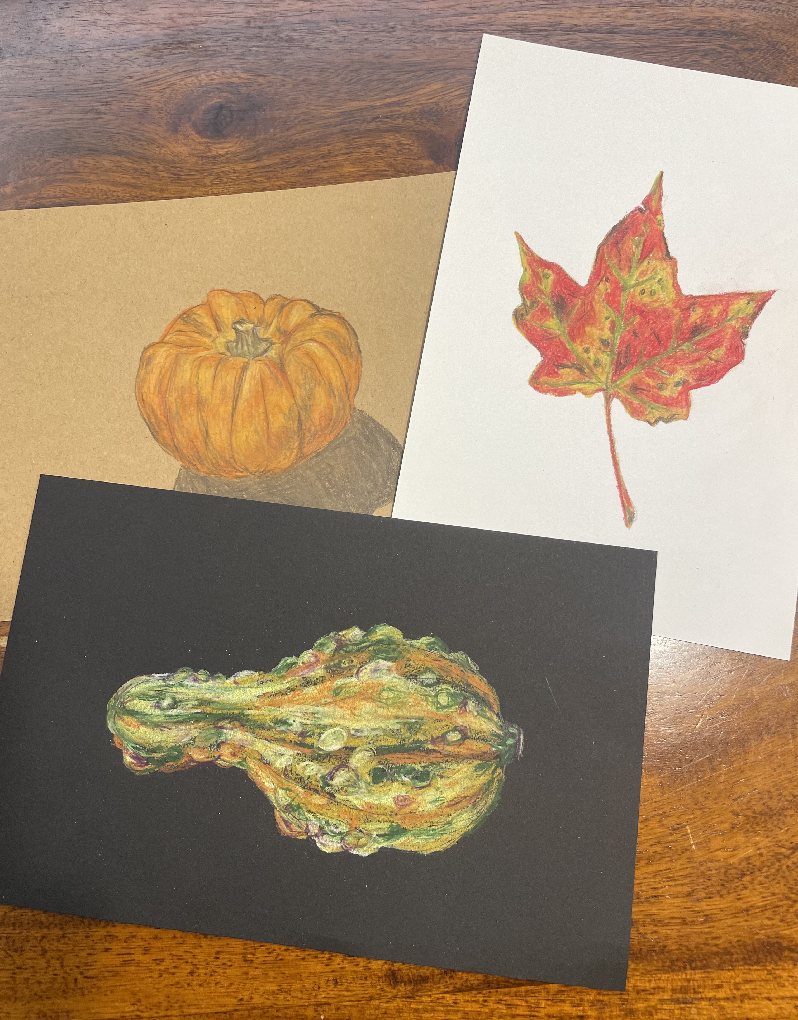 fall botanical drawings