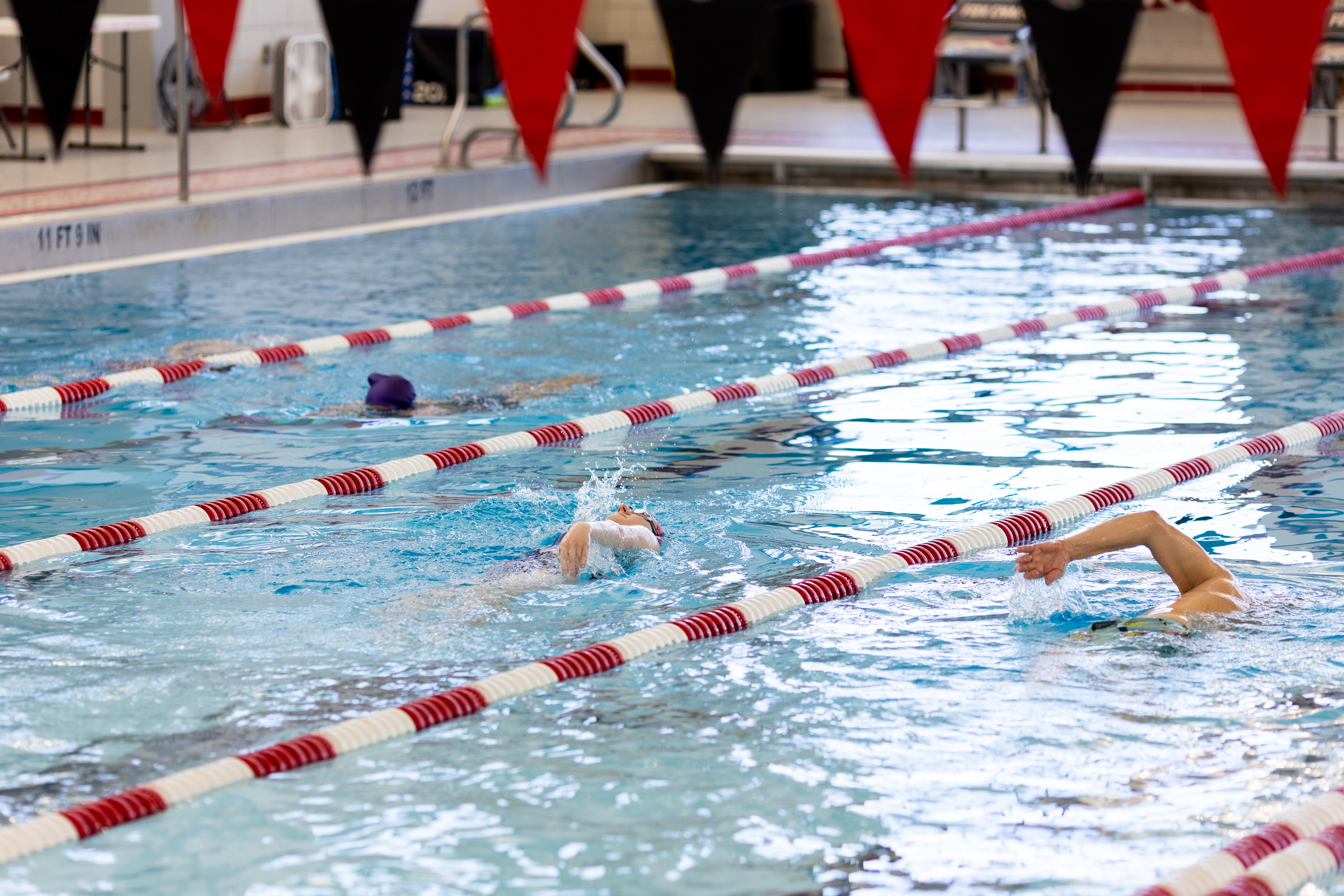adult lap swim
