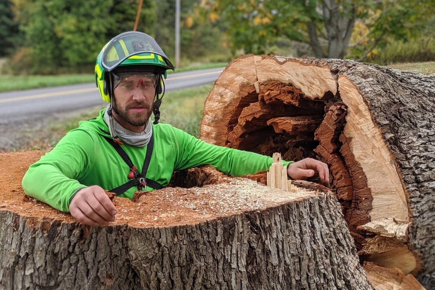 tree care